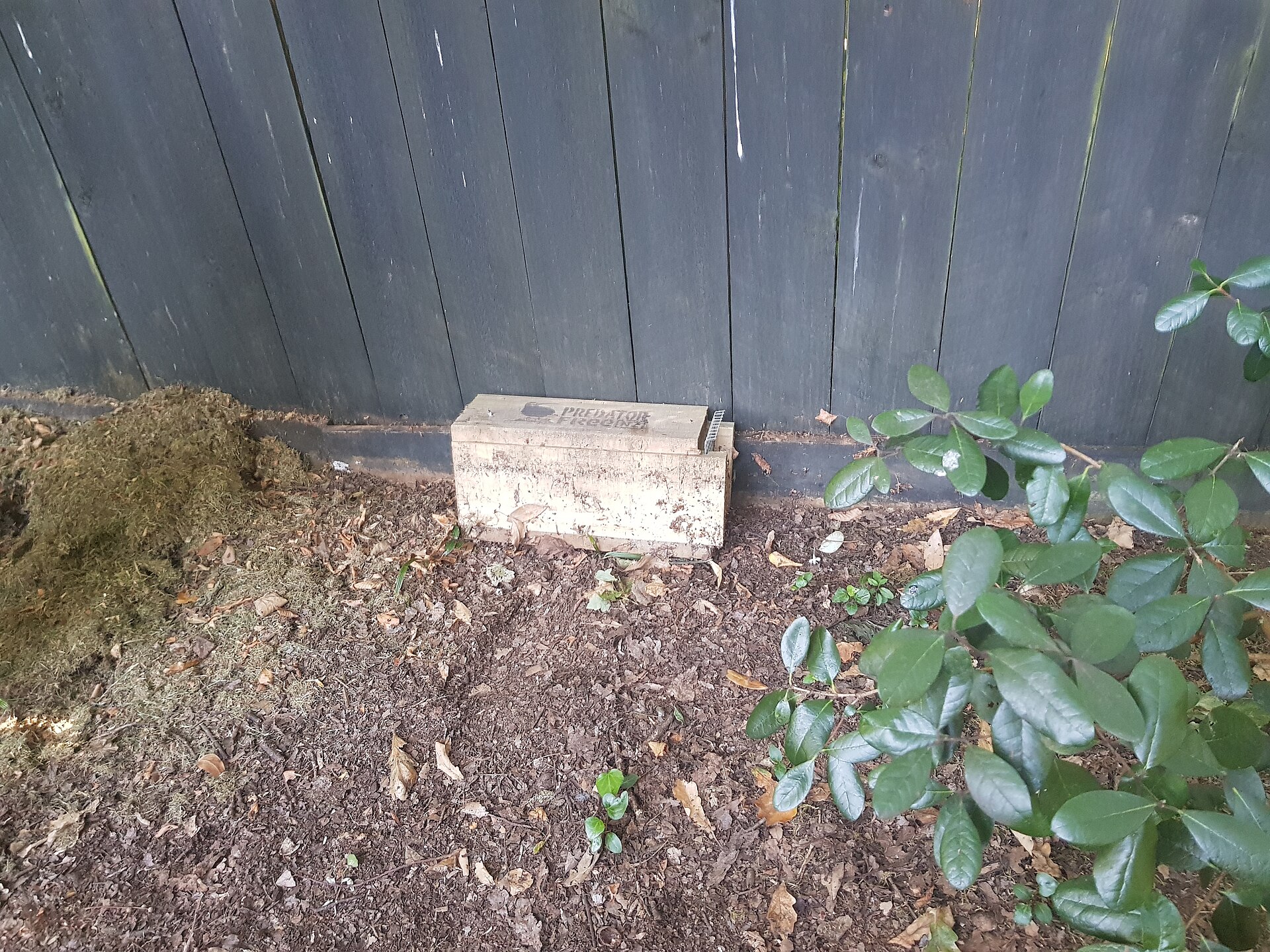 Tamper-resistant rodent bait station for monitored IPM in Kenyan warehouses
